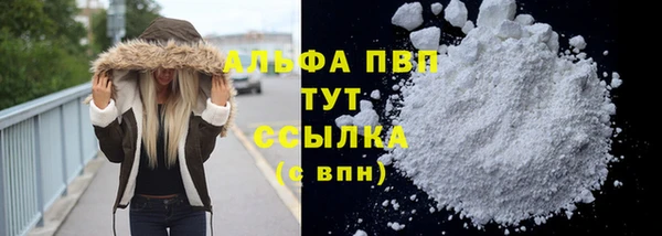 гашик Беломорск