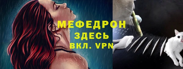 шишки Белоозёрский