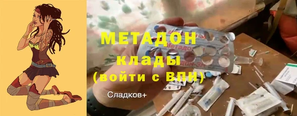 шишки Белокуриха