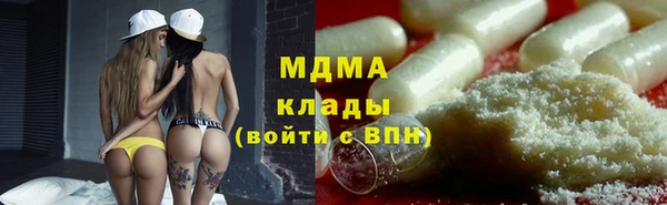 шишки Белокуриха