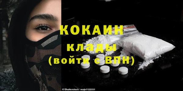 шишки Белокуриха
