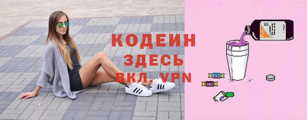 шишки Белокуриха