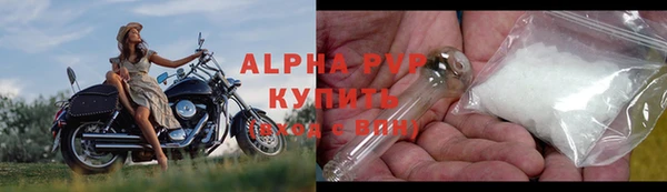 шишки Белоозёрский