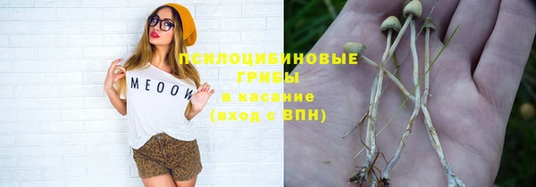 a pvp Новокубанск