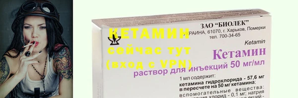 шишки Белокуриха