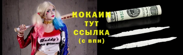 шишки Белоозёрский