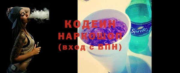 шишки Белоозёрский