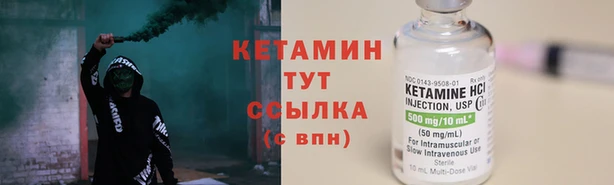 шишки Белокуриха