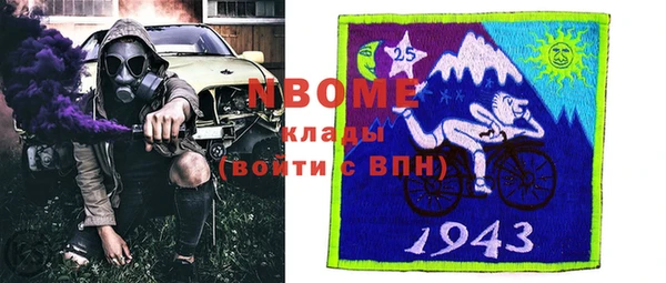 шишки Белокуриха