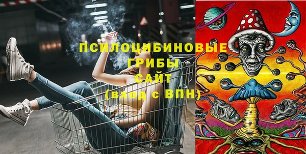 шишки Белокуриха