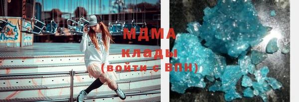 шишки Белоозёрский