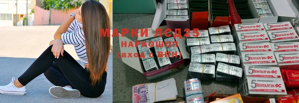 шишки Белоозёрский
