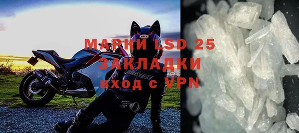 шишки Белоозёрский