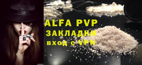 шишки Белокуриха