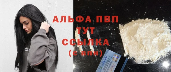 шишки Белоозёрский